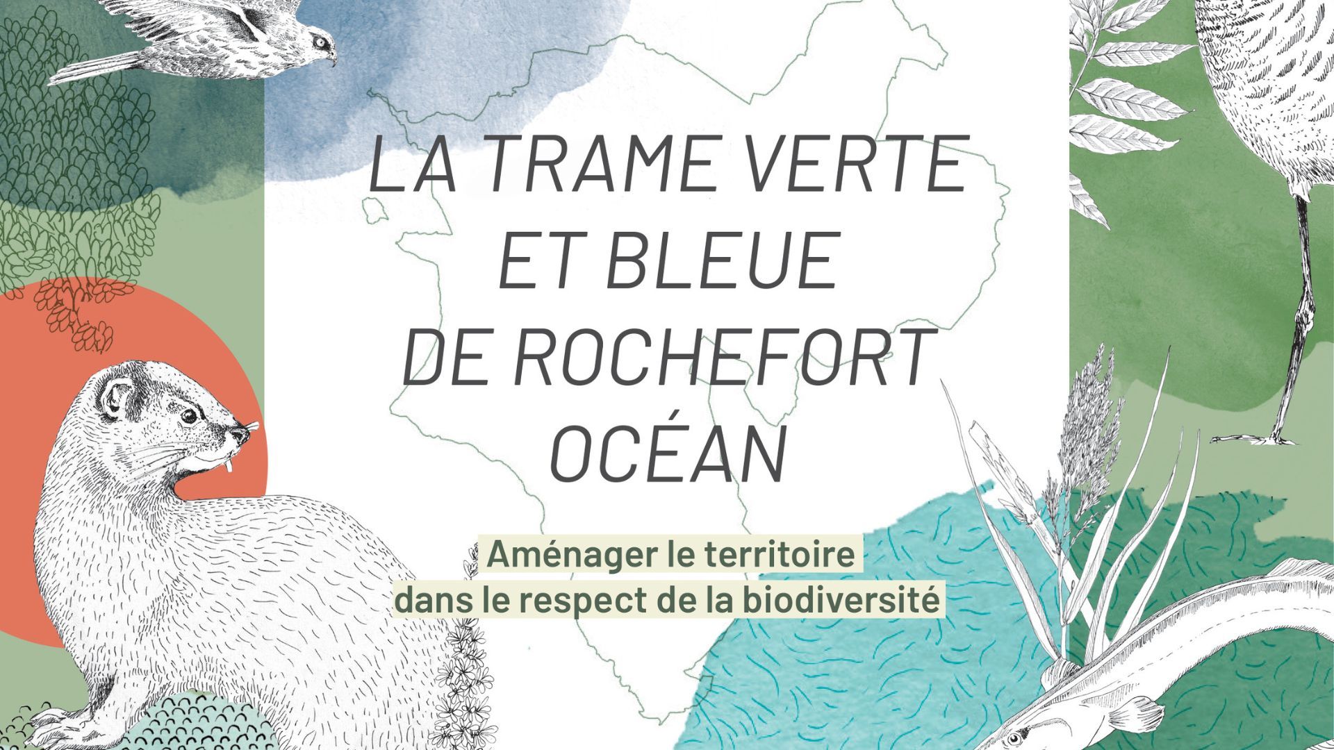 Trame Verte et Bleue